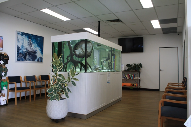 Reception area of the Perth Lymphoedema Clinic featuring a large aquarium at the centre, surrounded by seating. The walls are decorated with artwork, and there is a television mounted on one wall. A potted plant is positioned near the aquarium, contributing to a welcoming atmosphere.